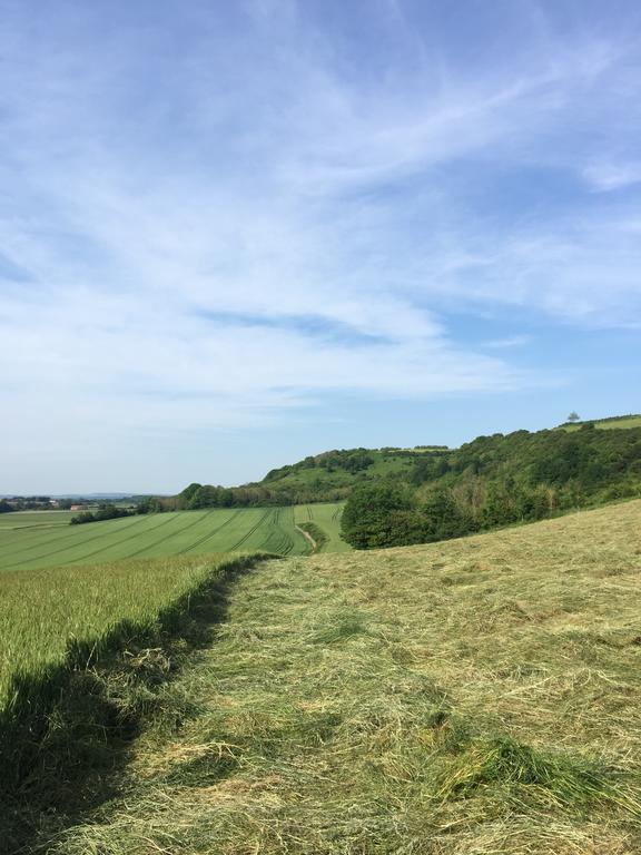 Willa Les Collines Du Breuil Samer Zewnętrze zdjęcie